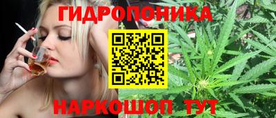 стаф Будённовск
