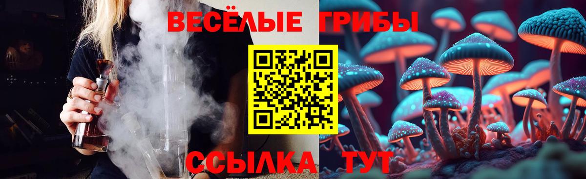 наркошоп  Вход с VPN  Муром  Псилоцибиновые грибы Cubensis 