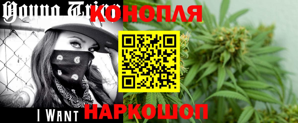 Бошки марихуана конопля Муром